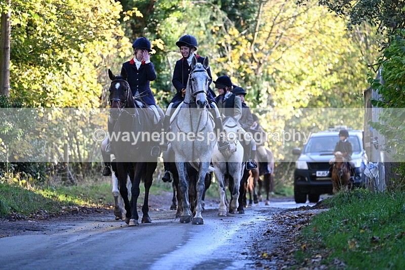 WJ7_8686 - Walk Home