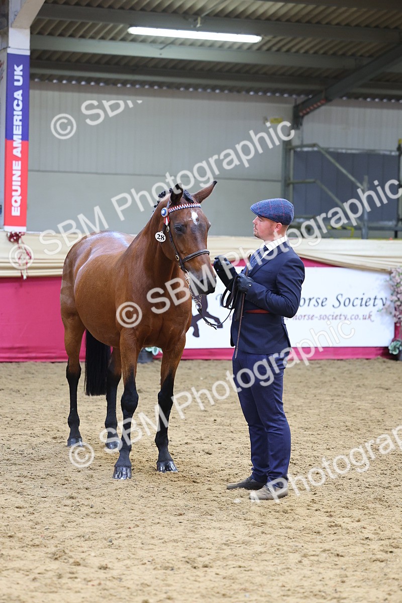 SBM_23232 - Supreme Final - IH Champion