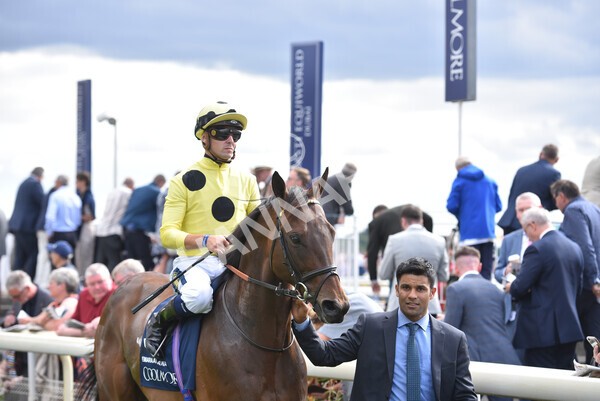yr19082022r4-58 - Race 4 3.35pm Coolmore Wootton Bassett Nunthorpe Stakes (British Champion Series Race)