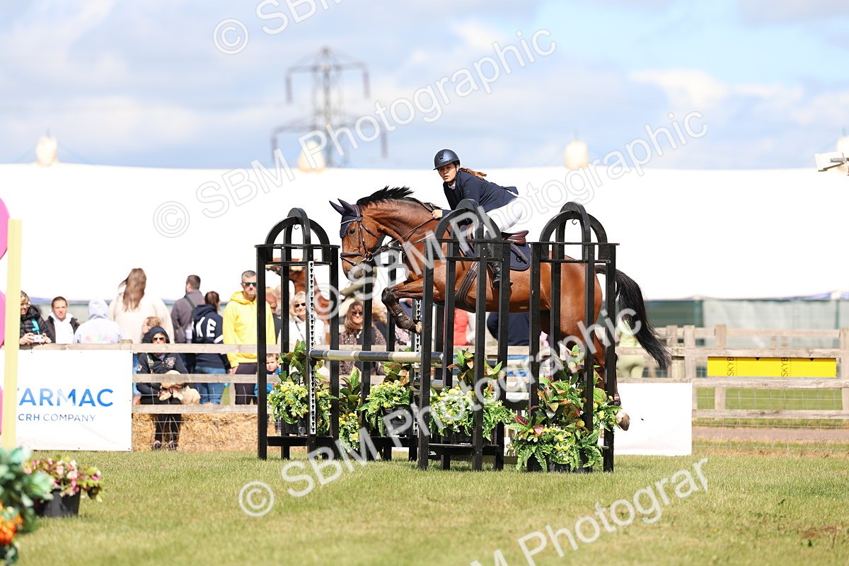 SBM_13543 - Class 206 - Senior Newcomers - 1.10m Open