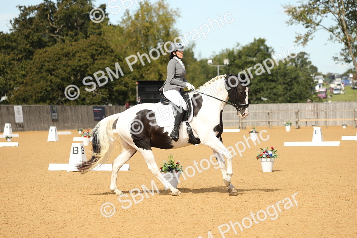 SBM_22239 - D17 - Grand Tour Championship - Novice 27