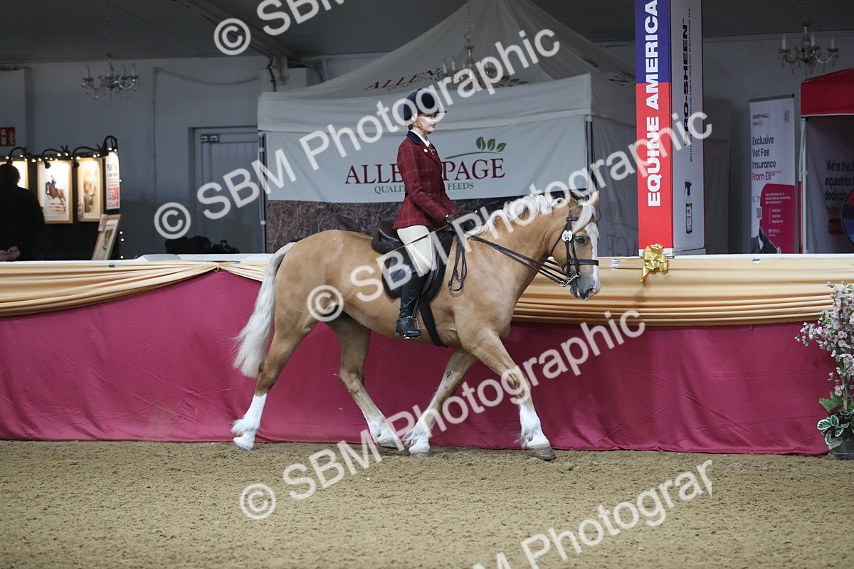 SBM_10302 - Class 102 Equitation (best rider) Adult