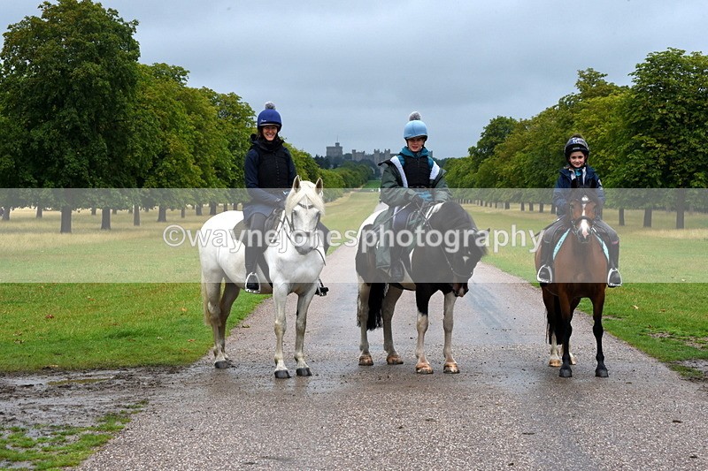TT3_8685 - Time at Crossing 11:44 to 12:54