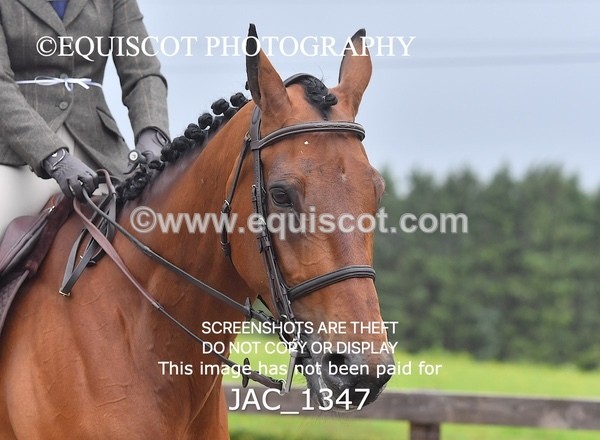 JAC_1347 - CLASS 9 BHS Scotland Riding Club Working Hunter Qualifier (1.00m)