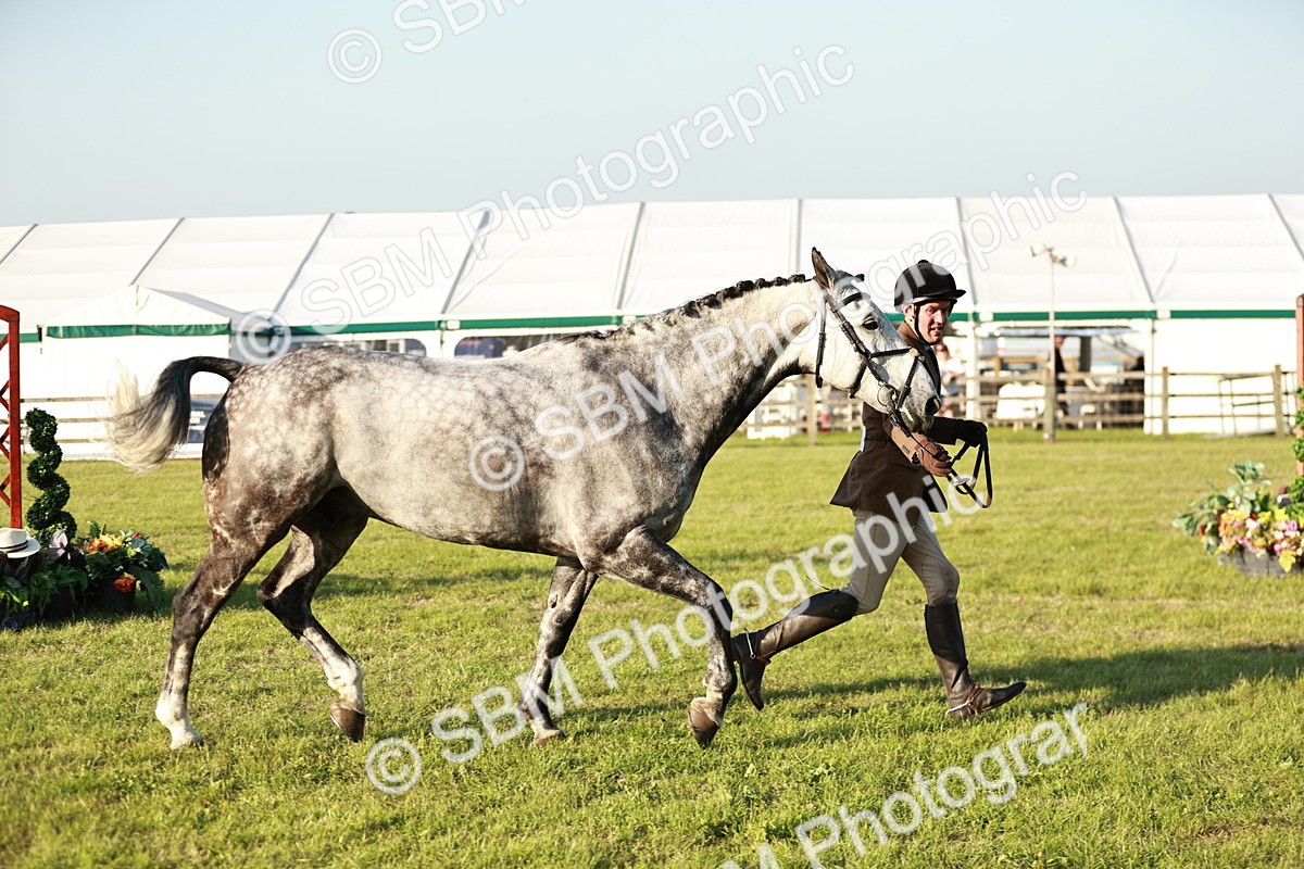SBM_20525 - Class 117-119 - Sport Horse Working Hunter