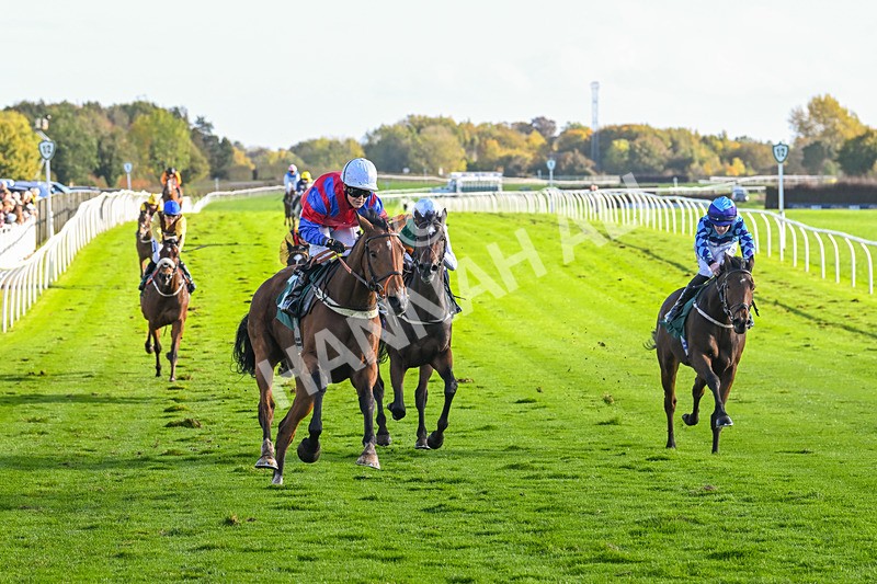 191024-Race 4-Three Dons-4305 - Race 4