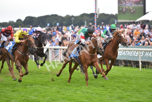 yr20082021r6-36 - Race 6 4.40pm Assured Data Protection British EBF Fillies' Stakes