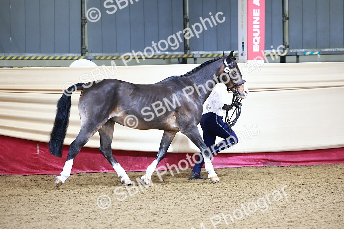 SBM_21669 - Class 901 - Supreme Final - IH  Diamond