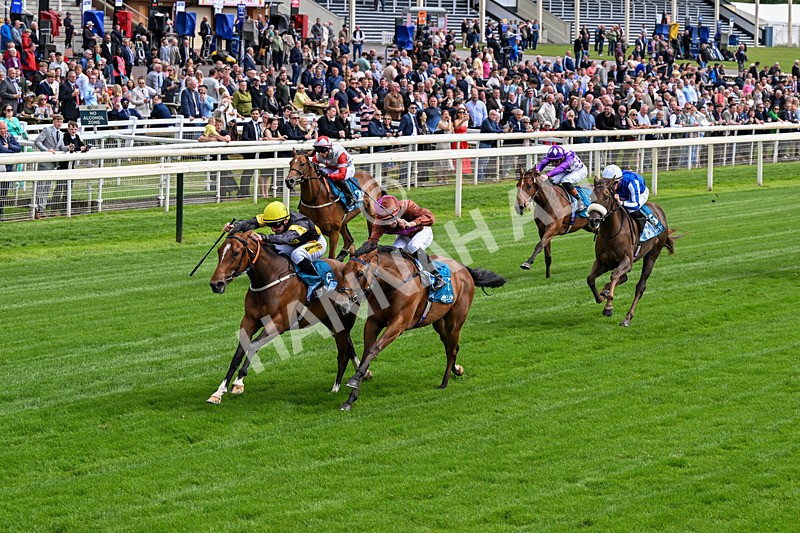 120626-Race 4-Big Negotiator-0230 - Race 4 15.35pm Juddmonte EBF Fillies' Restricted Novice