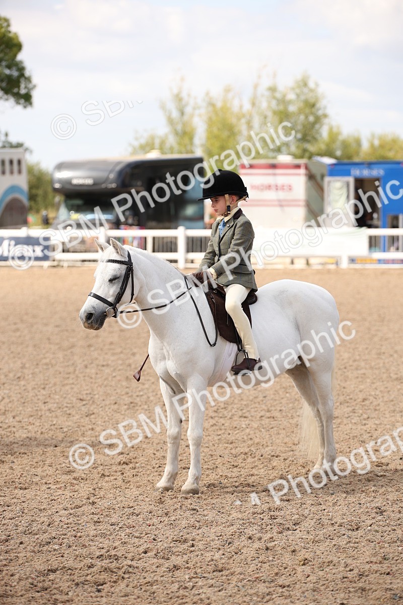 SBM_03780 - Class 19 Judge's Favourite