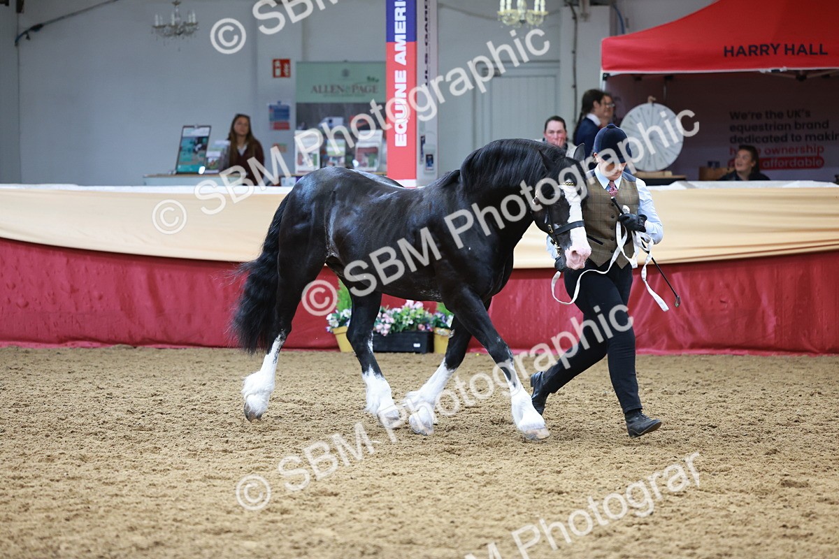 SBM_17469 - Class 951 - M&M IH Supreme Final