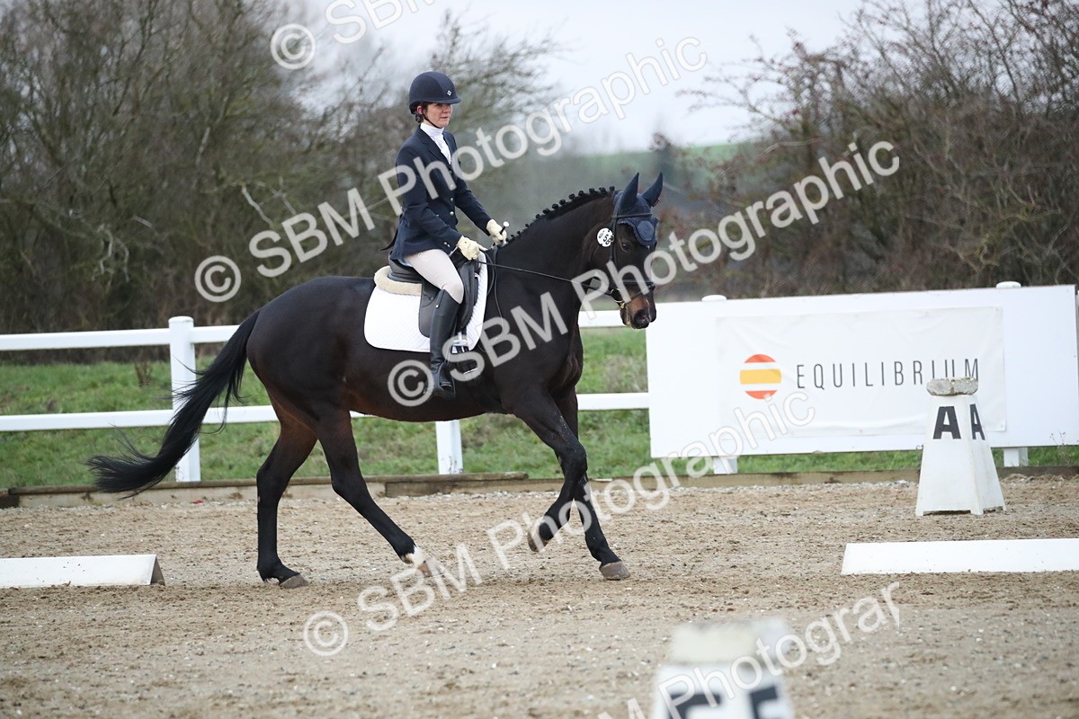 SBM_004905 - Novice 3