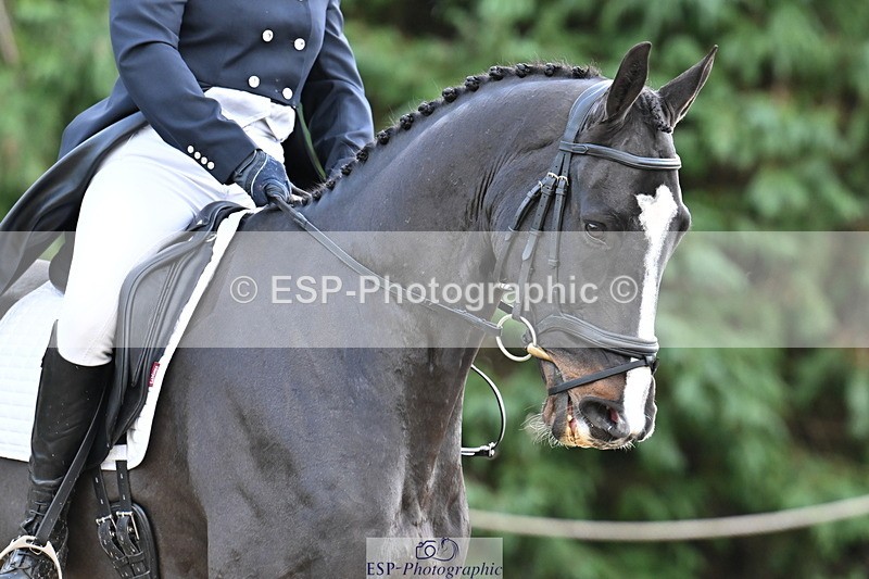 251023A-103601-01020 - C-221-Sam.Jennings