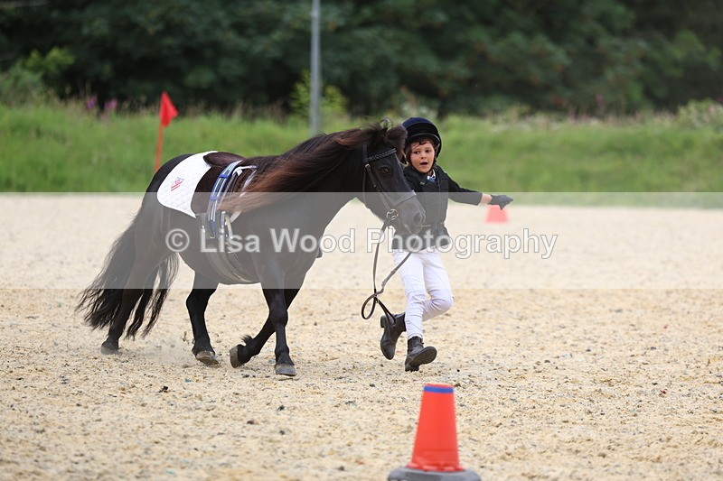 3E7A9534 - Walk trot run