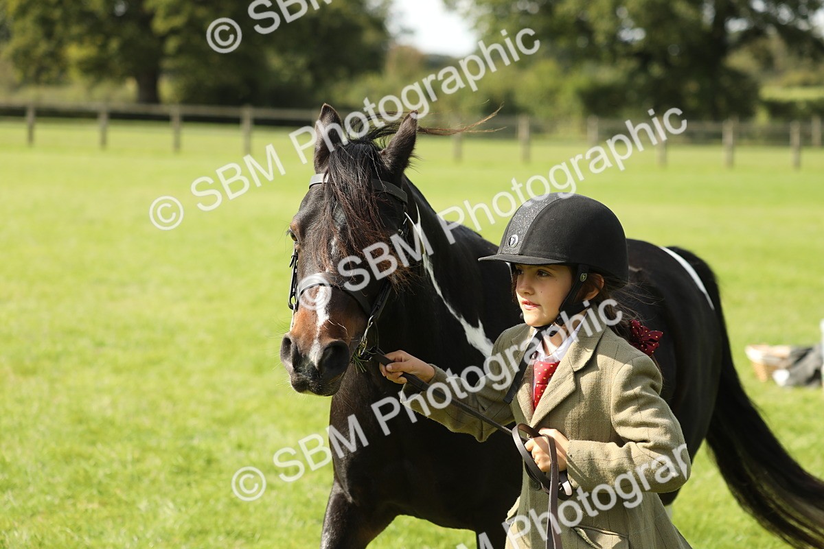 SBM_67784 - S39 - Junior Handler 8  Years & Under