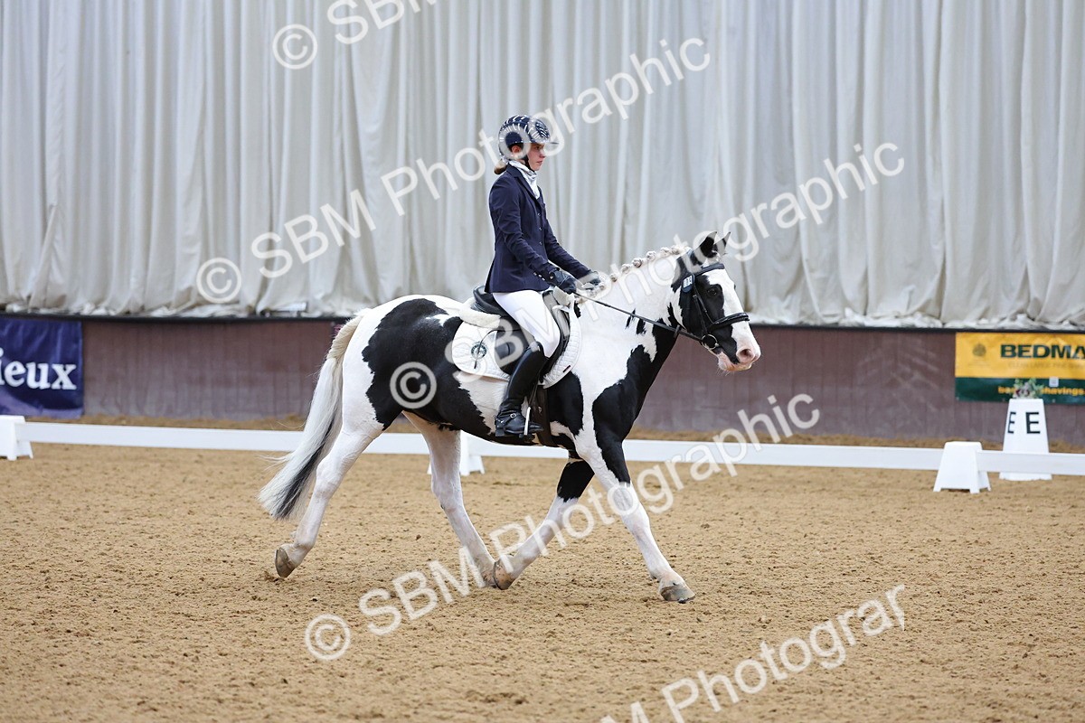 SBM_002601 - Novice