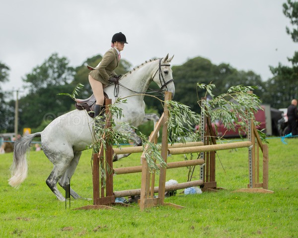 Dunblane show-679 - Dunblane and Doune Show Ring 1