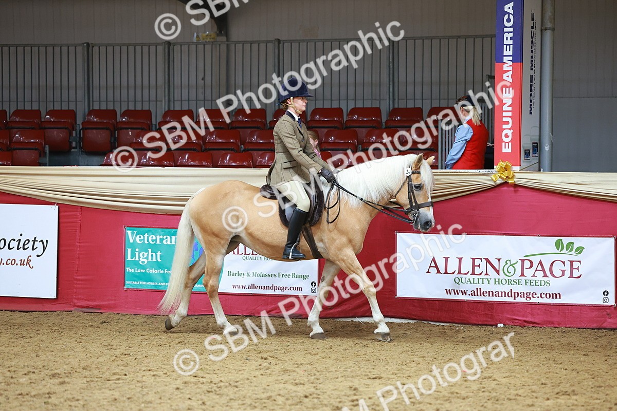 SBM_09563 - Class 102 - HOYS Veteran Qualifier - Ridden Veteran