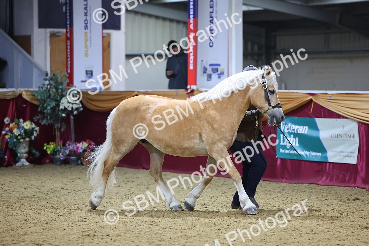 SBM_20997 - Class 902 - Supreme Final IH Veteran