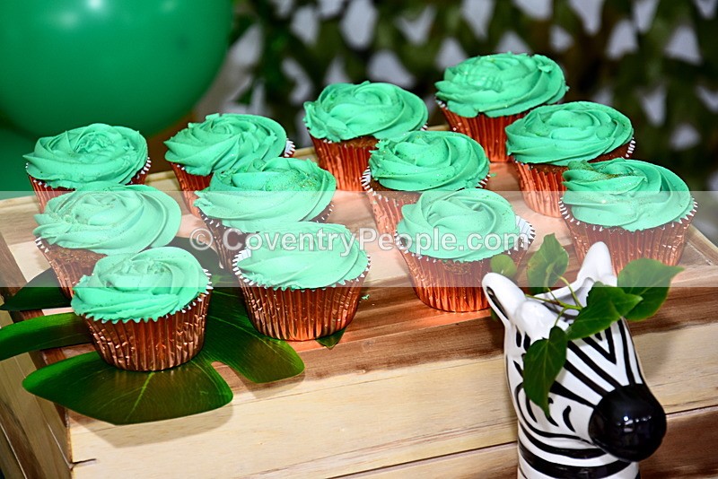 ADN-049 - Aiden's 1st Birthday