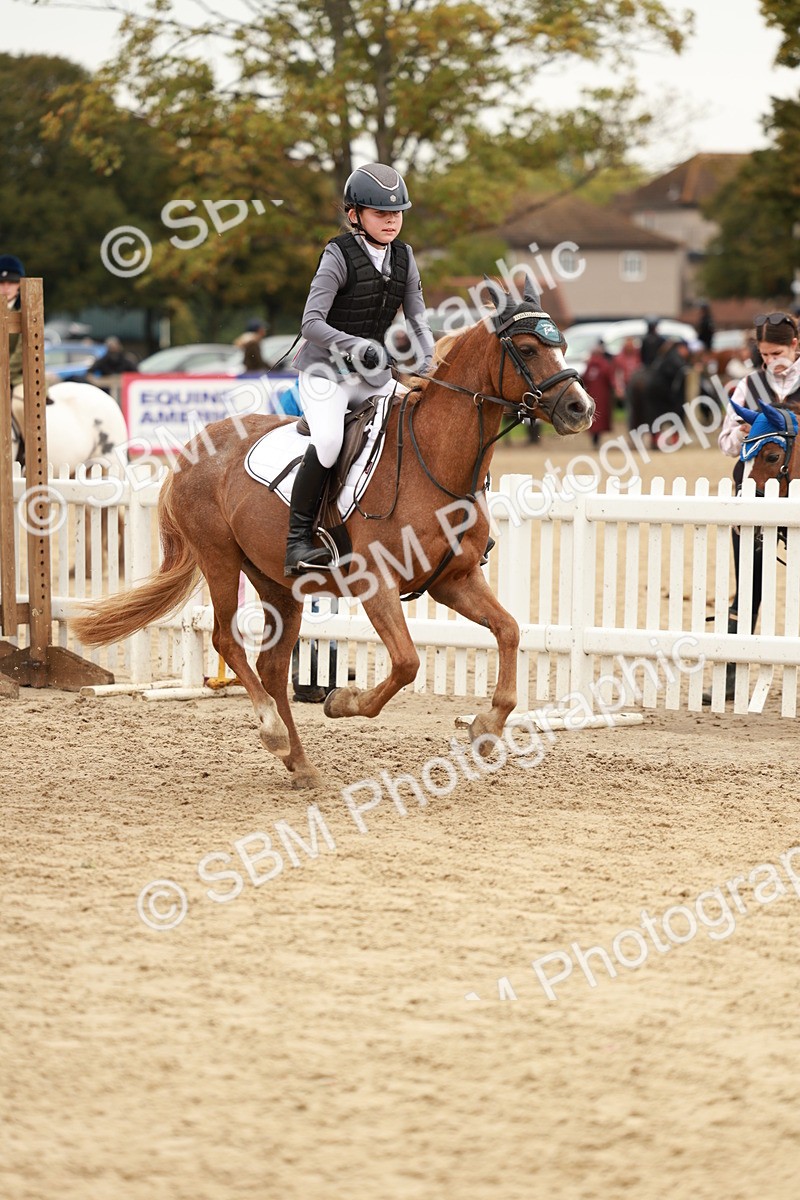 SBM_57975 - J11 - Junior Pony 50cm Championship
