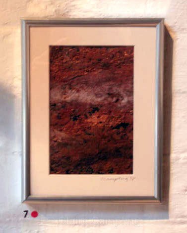 Bark study 3 (1999) - Organic Series