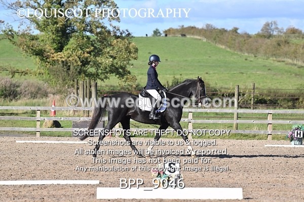 BPP_9046 - SHORT ARENA INTRO 3