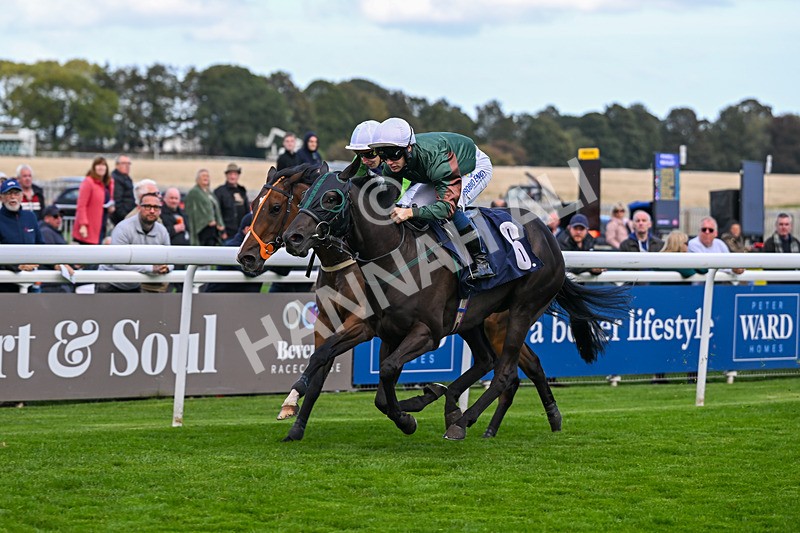 230925-Race 3-Beerwah-0477 - Race 3