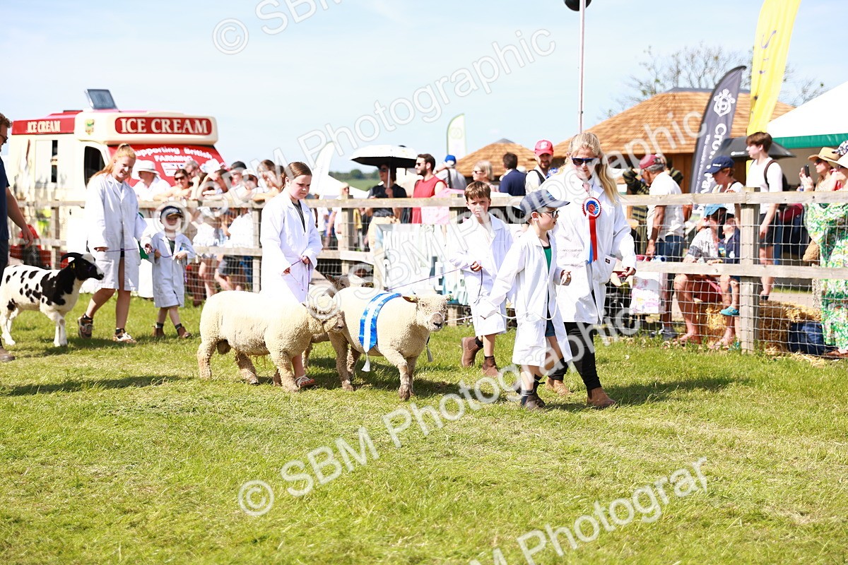 SBM_08299 - Grand Parade