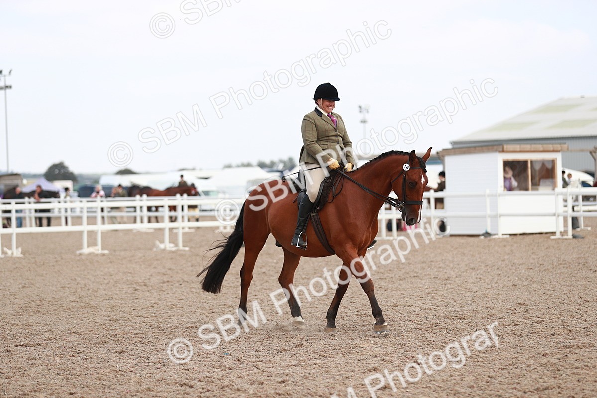 SBM_15534 - Class 213 Ridden Hunter -Large