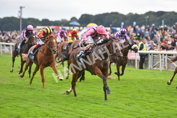 yr19082021r7-24 - Race 7 5.20pm British Stallion Studs EBF Fillies' Stakes