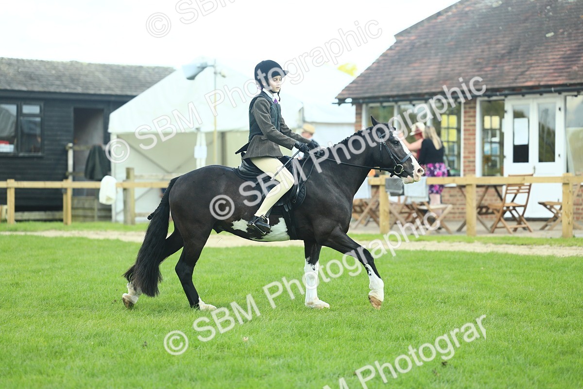 SBM_42010 - S29 - Novice & Newcomers Working Hunter Pony