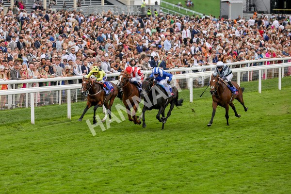 270724-Race 1-Alflaila-4676 - Race 3 3.15pm Sky Bet York Stakes