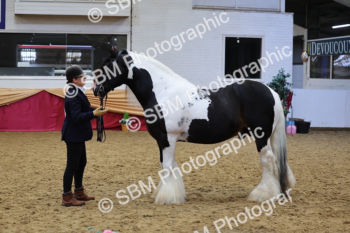 SBM_22759 - Class 903 - Supreme Final - IH Pre Vet