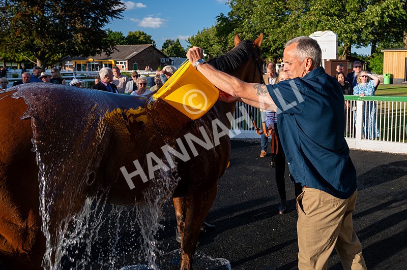 160824-Race 5-Ready Freddie Go-3045 - Race 5