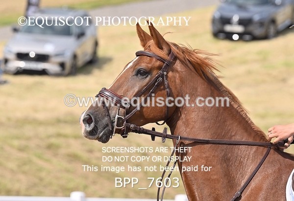 BPP_7603 - CLASS 15 FRI Senior 1.05m Open