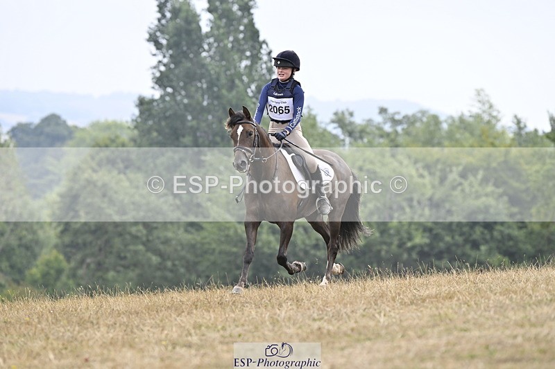 250824A-122719-36358 - 2065-Tabby.Speid-Soote