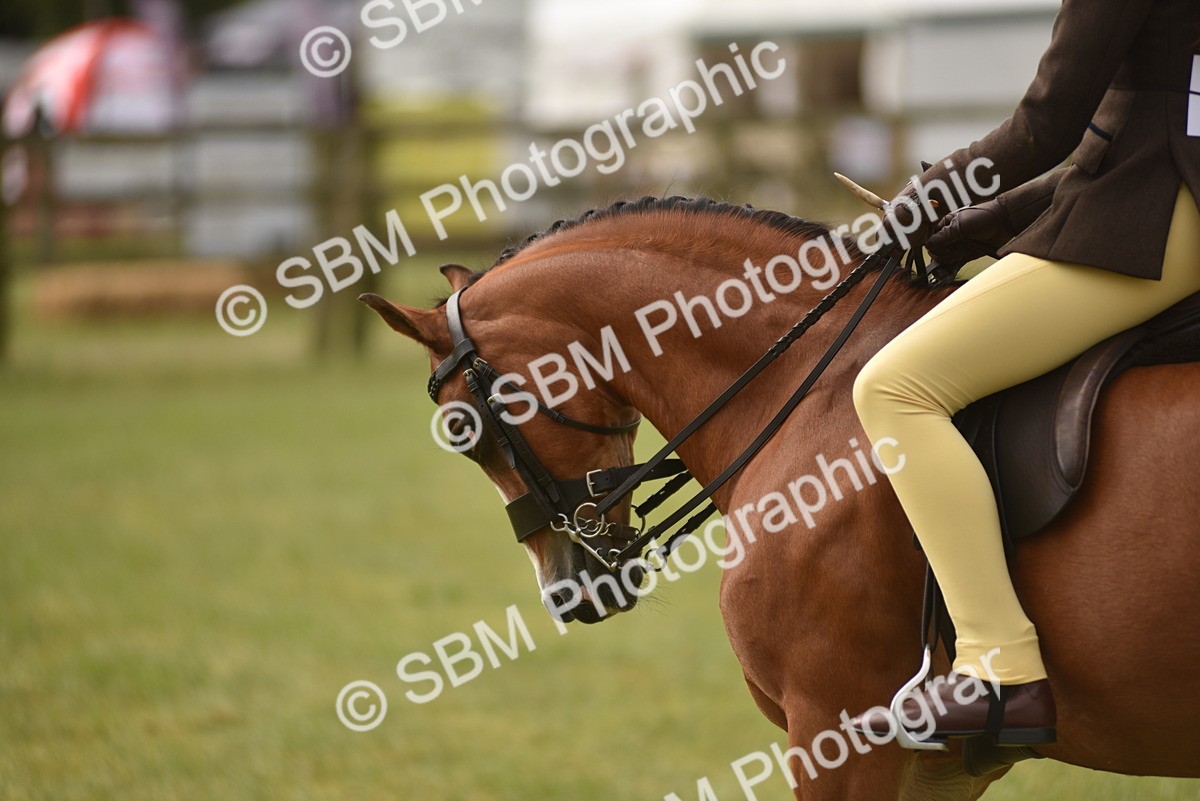 SBM_10696 - Class 110-112 - LIHS BSPS Performance Pones