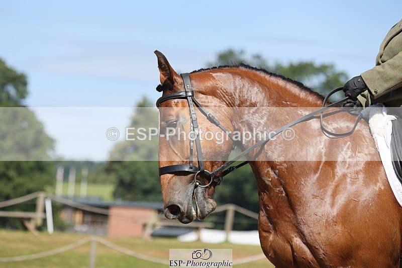 240719-105136-00801 - 169-Marion_Eaves-Indigo_Queen_of_Hearts