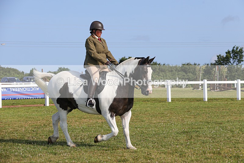 1X9A3329 - Class 28: Ridden Native/Trad Coloured Pony