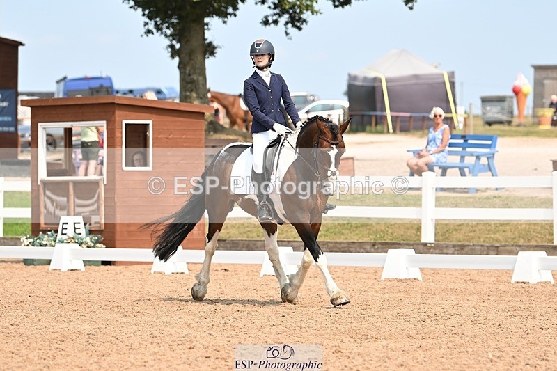 250816-140600-05008 - 050-Mollie.SheathTouch.Wood