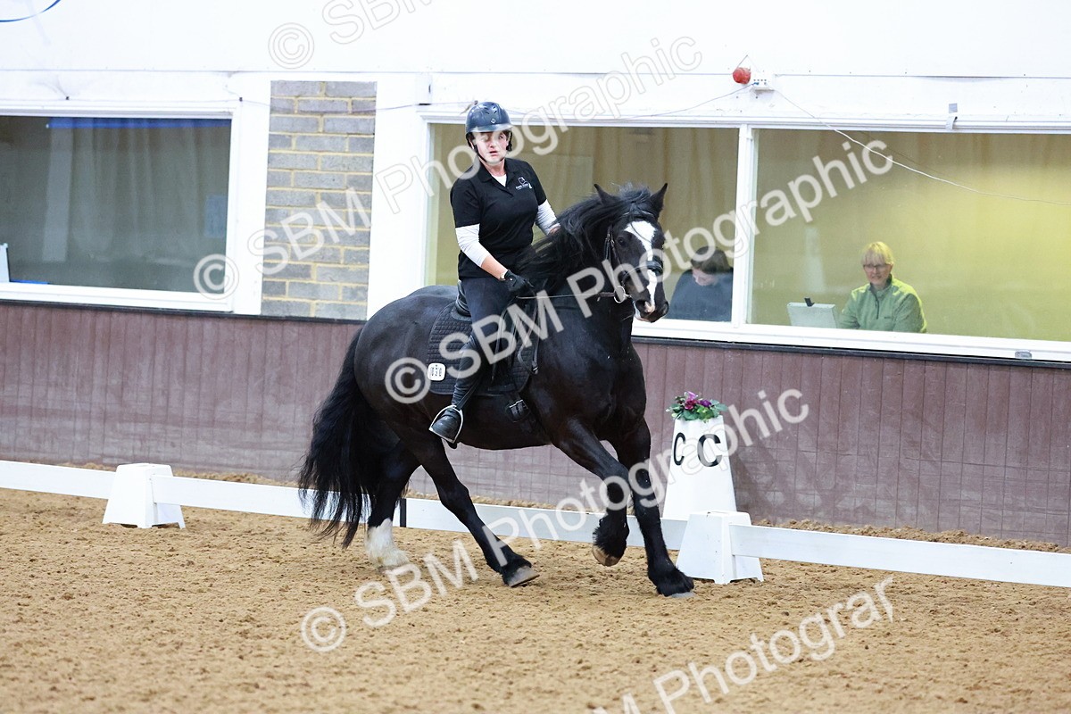 1I0A0813 - Class 3-6 - Prelim 1-Novice 2
