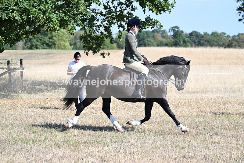 WJ7_3725 - Class 9 Mountain & Moorland Ridden