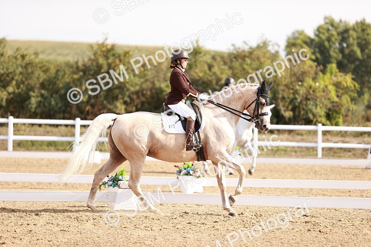 SBM_017018 - Class 10 - Medium 6