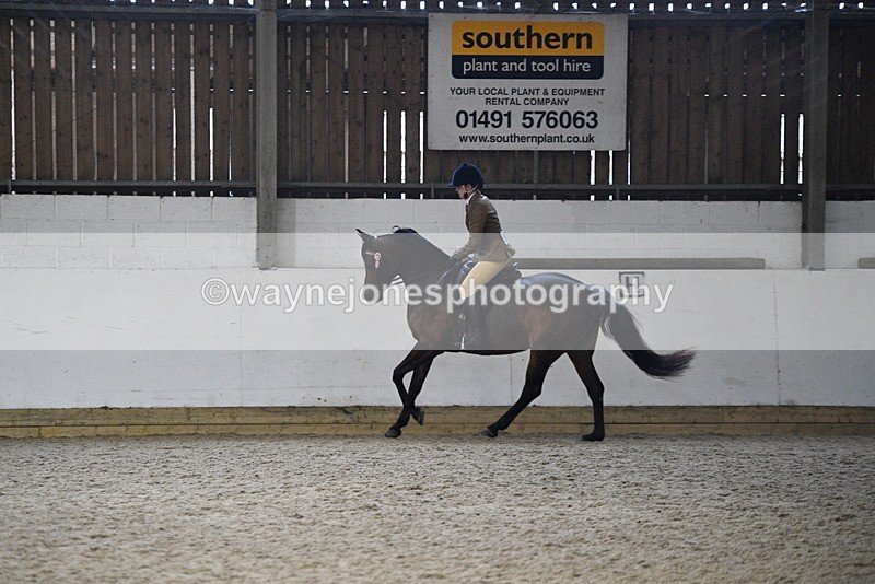 WJ5_8923 - Class 15 Ridden Show Horse