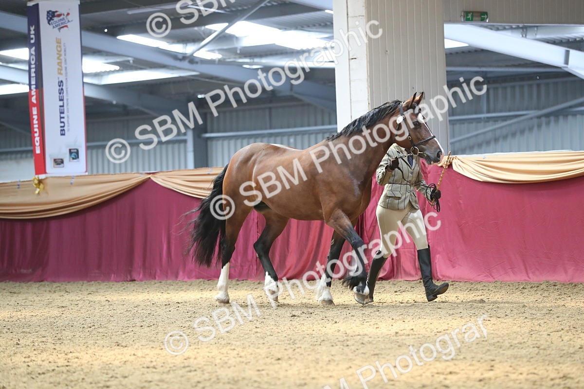 SBM_15178 - Class 501 M&M IH Supreme Final