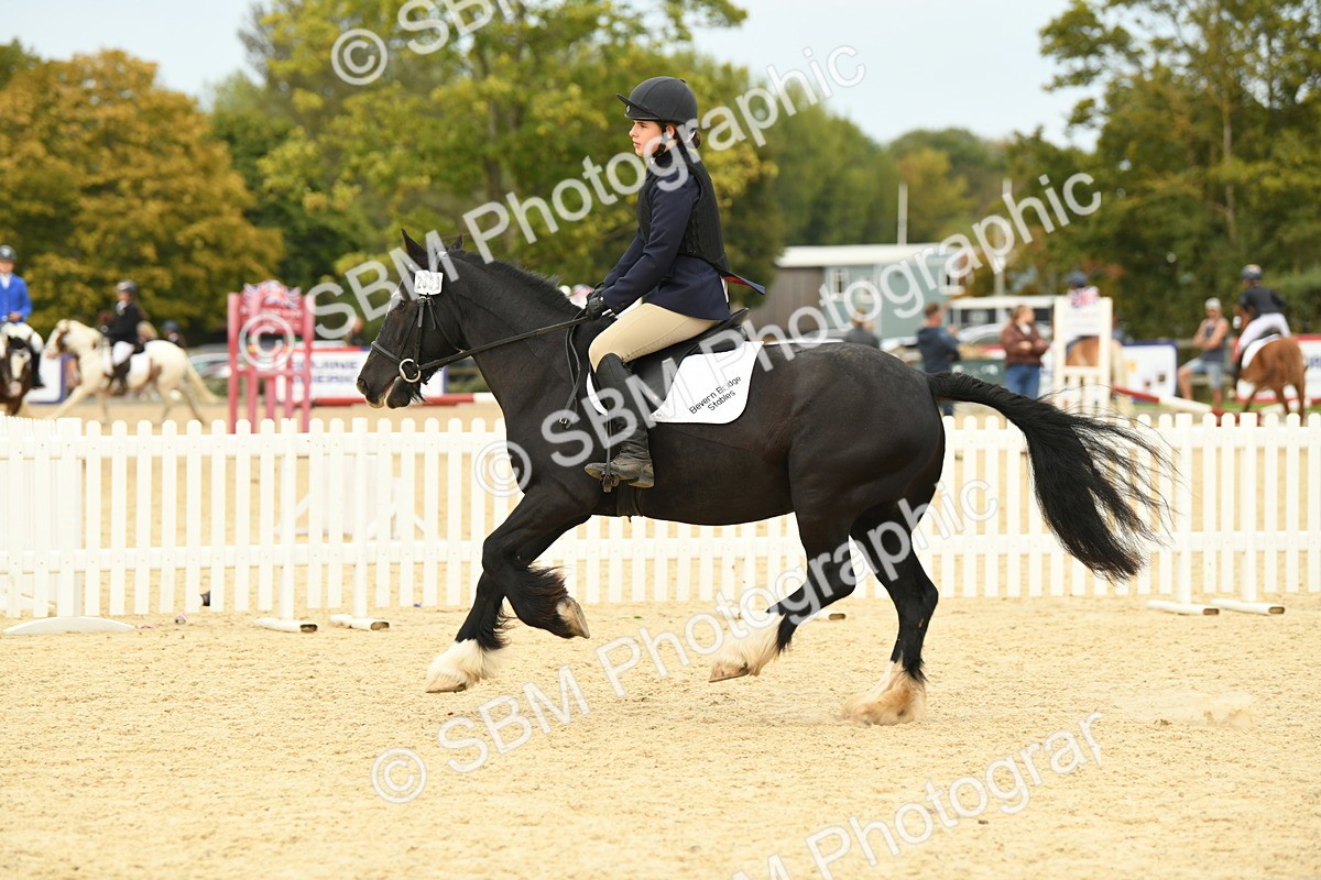 SBM_72962 - J16 - Junior Pony 75cm Championship