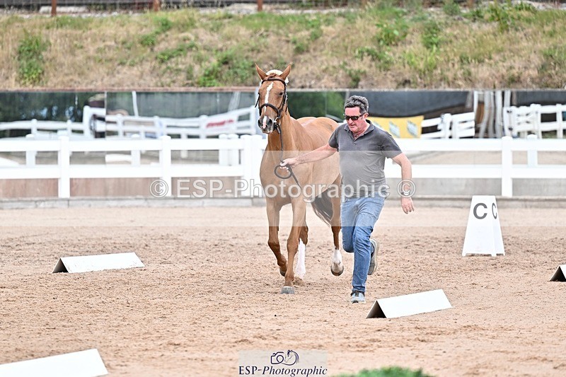 250716-164055-00733 - Trot Up 4.30 to 5.00