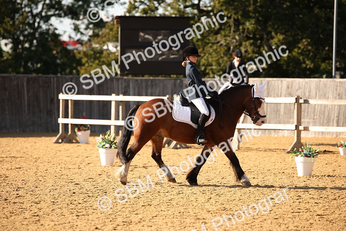 SBM_28340 - D11 - Small Tour Championship - Prelim 13