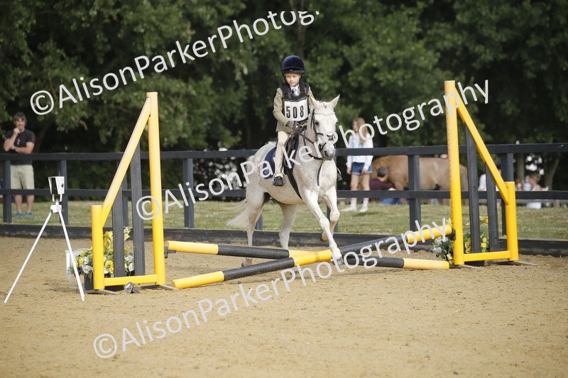 20250622-1226 - 40cm